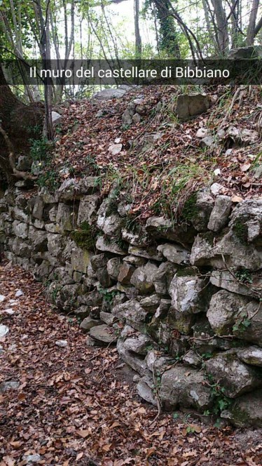 Ciò che resta del castellare di Bibbiano