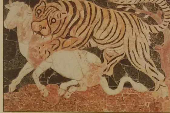Una tigre assale un toro. Ostia, domus di Porta Marina