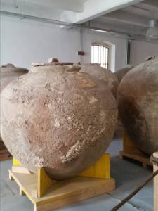 Uno dei dolia di Diano Marina nel Museo Navale di Imperia