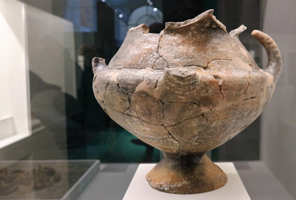 mostra etruschi bologna