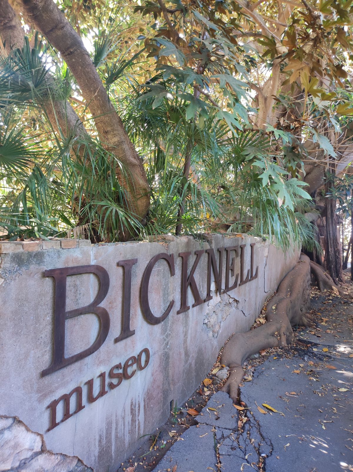 museo bicknell_1